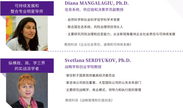 法国诺欧商学院高级工商管理硕士EMBA