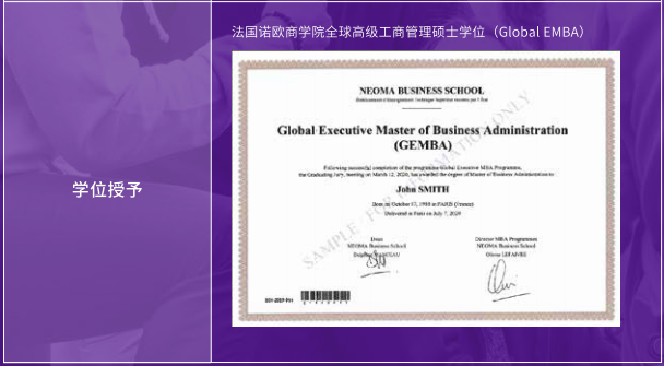 法国诺欧商学院高级工商管理硕士EMBA