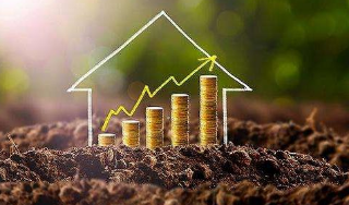 中财财务总监培训班招生