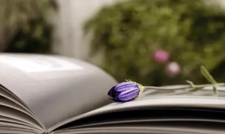 企业管理培训班重庆