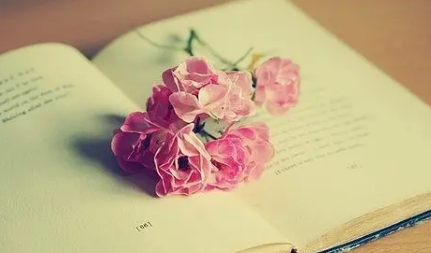 怎样参加企业管理培训班