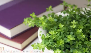 昆明企业管理培训班哪个好？