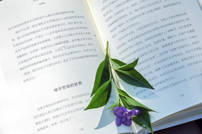 思特雅大学上课时间