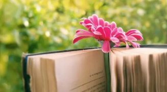 广州 企业管理 培训班