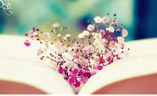 广州哪个企业管理培训班好?