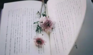 中小企业管理培训班排名