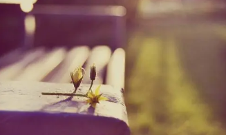 广州中小企业企业管理培训班