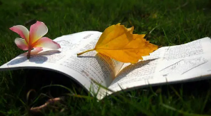 企业管理强化培训班