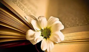 中小企业管理培训班 上海