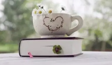 武汉大学是否有企业管理培训班?