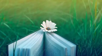 杭州企业管理培训班哪个好？