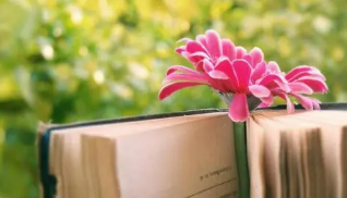 企业管理人员脱产培训班