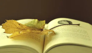 企业管理 总裁培训班