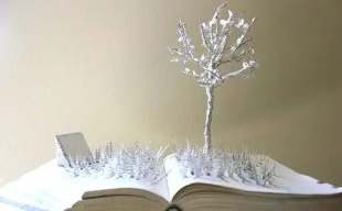 企业管理创新发展培训班