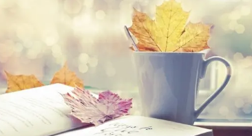 企业管理培训班方案