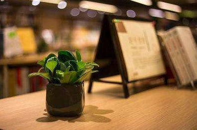 思特雅大学申请简单吗？