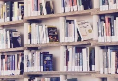 思特雅大学到底怎么样？