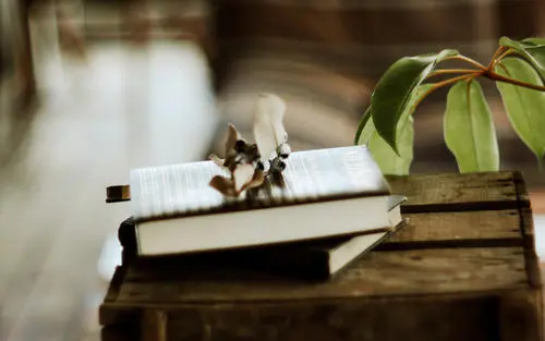 思特雅大学mba课程