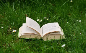 高管学习培训班课程有哪些?