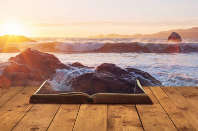 可以在职读博的学校