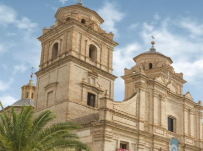 西班牙武康大学真假