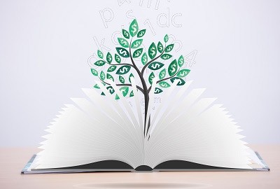 西班牙武康大学法律硕士学位班