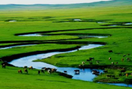 内蒙古总裁班教育培训介绍_课程学校机构推荐 内蒙古总裁班教育培训介绍_课程学校机构推荐