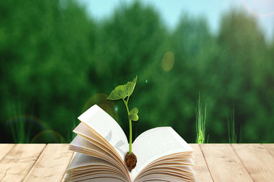 亚洲城市大学mba免联考