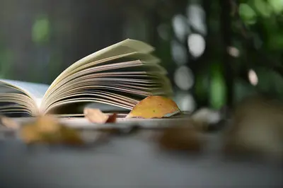 广州培训营销总裁班_推荐