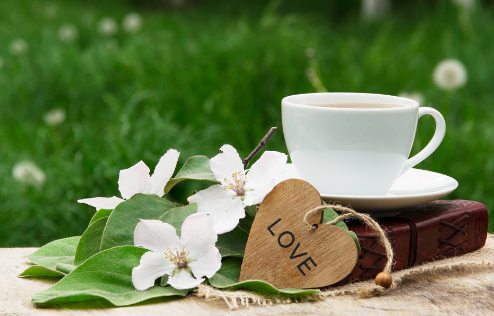 人力资源网络班含金量高吗