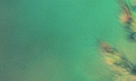 读浙江大学企业家研修班能结交人脉吗