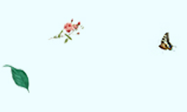 山东大学国际贸易学专业怎么样