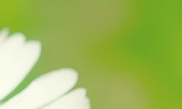 国际贸易学专业课程安排