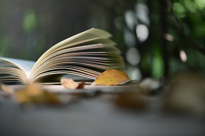 总裁研修班本科可以读吗