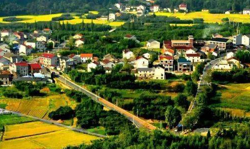 培训服务乡村振兴战略内容介绍