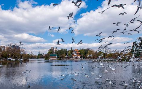昆明北市区总裁培训班介绍