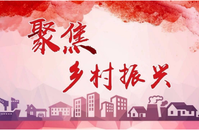 乡村振兴专题网络培训班怎么报名