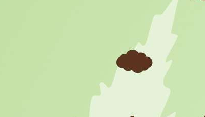 煤炭企业需要碳排放管理师吗