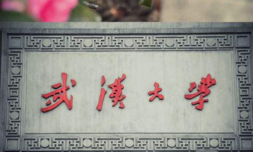 武大总裁班都是哪些人读?