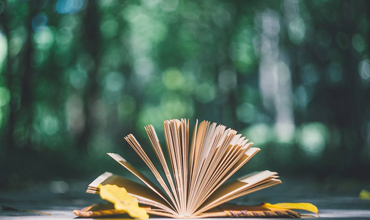 考研报名新东方的课有用吗?