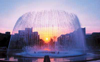 浙江财经大学中外合作可以不出国吗