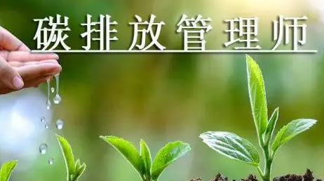 碳排放管理师哪个部门颁发的可以领取补贴？