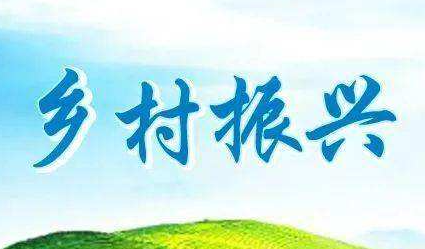 商丘乡村振兴培训推荐