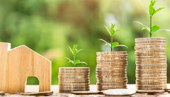 高顿财税学院课程有哪些