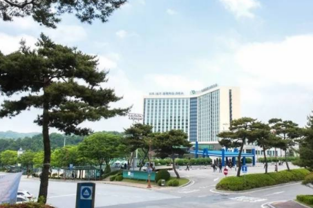 韩国白石大学读博怎么申请？