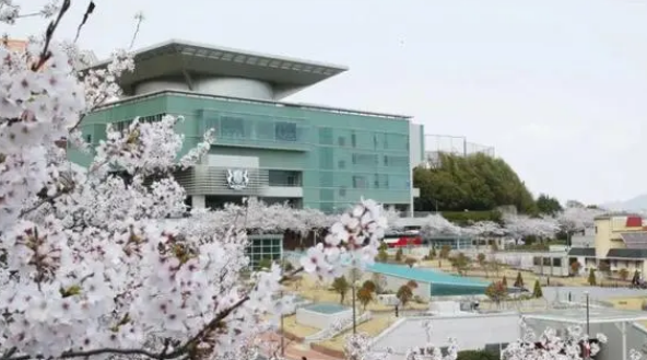 申请韩国白石大学留学怎么样？