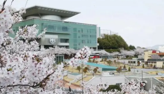 白石大学在韩国排名第几？