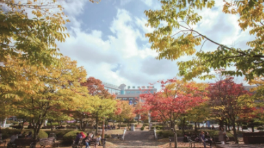 韩国白石大学在哪个城市？