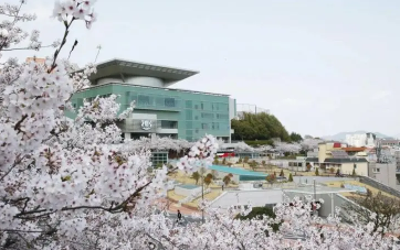 韩国的白石大学排名好吗？