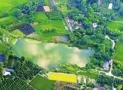 广元乡村振兴培训班介绍